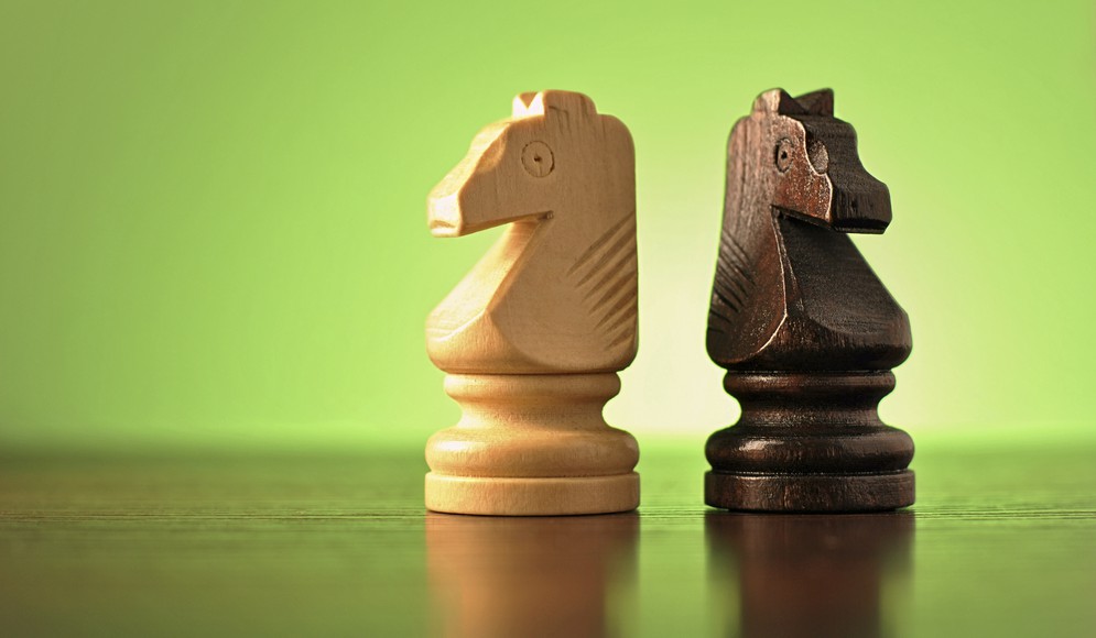 two chess pieces, a light and a dark wood knight facing opposite directions